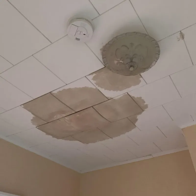 Ceiling Water Damage Repair in Aurora, NE
