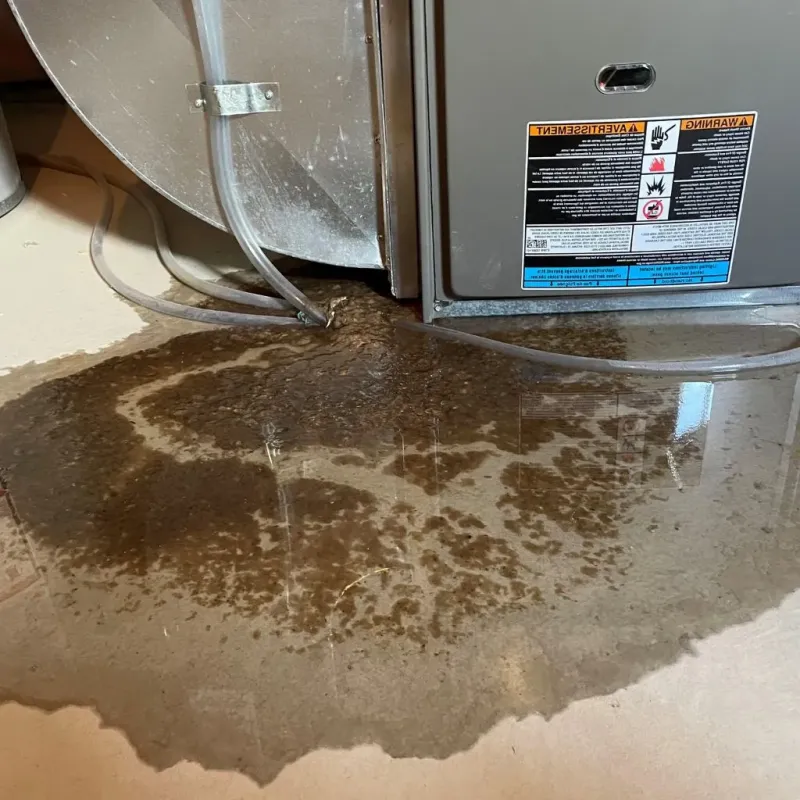 Pipe Burst and Leak Restoration in Aurora, NE