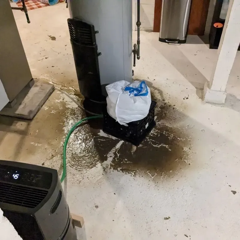Sewage Backup Cleanup Service in Aurora, NE